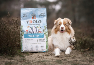 YDOLO Wild Fish – Ryby morskie - półwilgotna karma dla psa 2,5kg