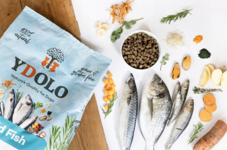 YDOLO Wild Fish – Ryby morskie - półwilgotna karma dla psa 2,5kg